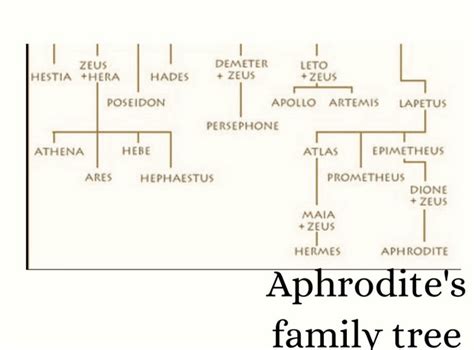 child of aphrodite and hermes|APHRODITE FAMILY .